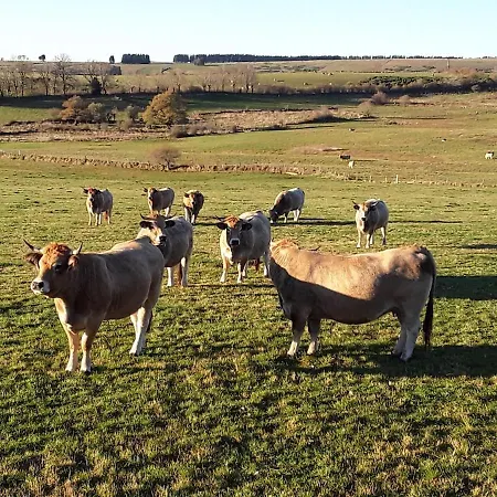 Holiday home L'oustal D'aubrac *