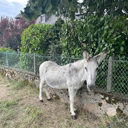 度假居 L'oustal D'aubrac *