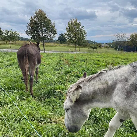 L'oustal D'aubrac * Le Nayrac